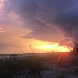 Meet your Posher, Allie